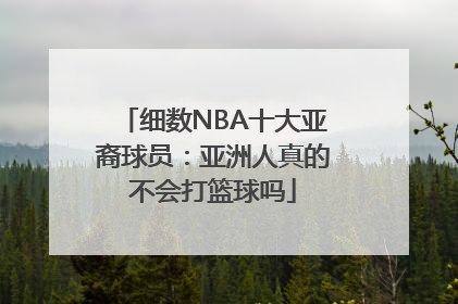 细数NBA十大亚裔球员：亚洲人真的不会打篮球吗