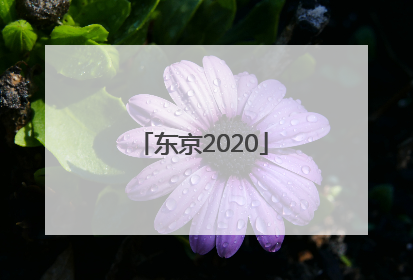 「东京2020」东京2022年GDP