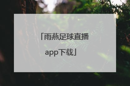 「雨燕足球直播app下载」雨燕直播APP下载安装