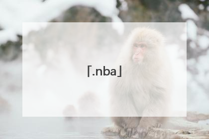 「.nba」nba球队名单大全