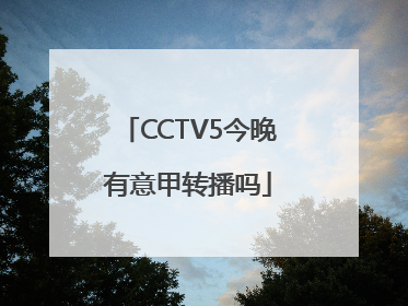 CCTV5今晚有意甲转播吗