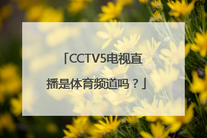 CCTV5电视直播是体育频道吗？